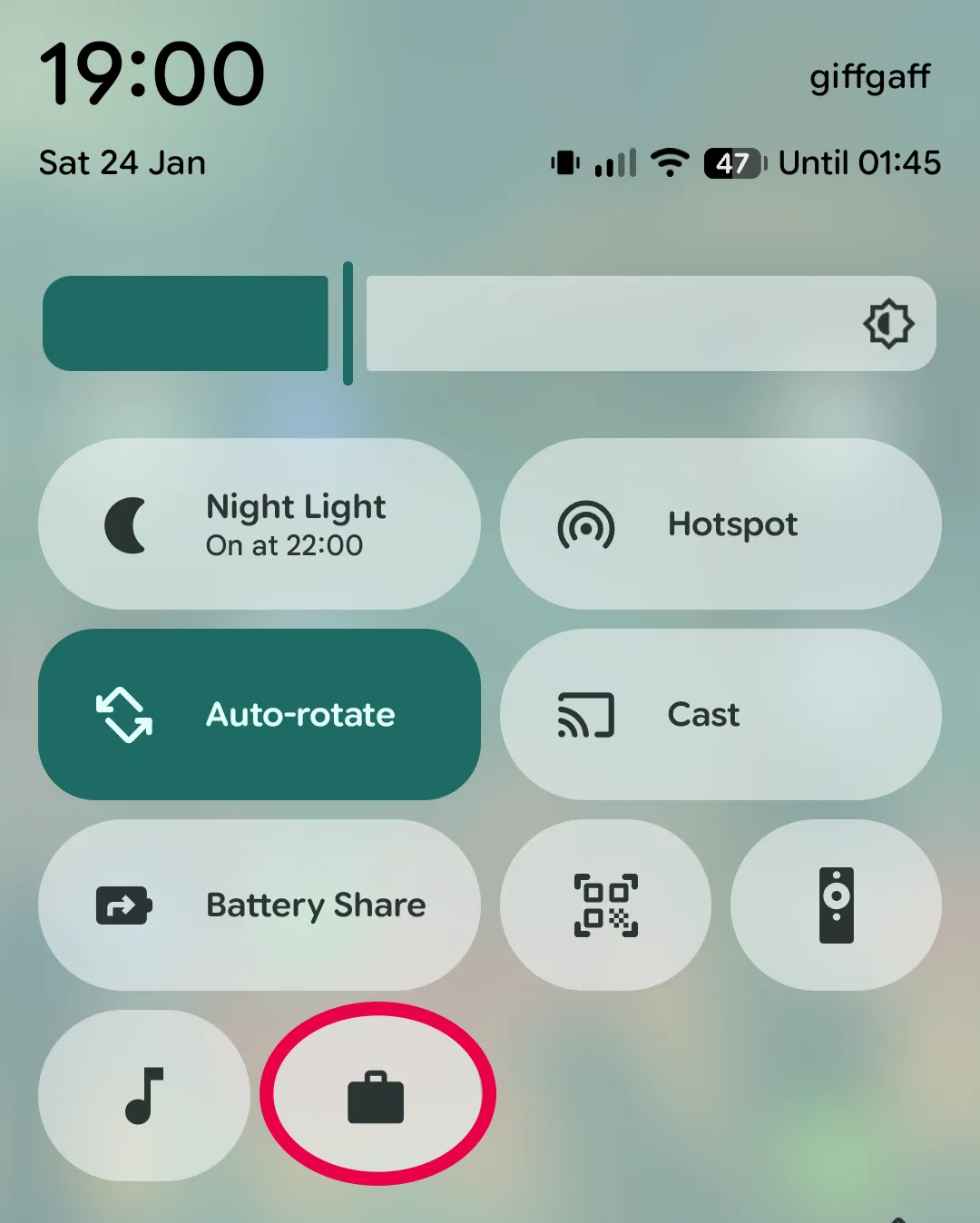 Screen shot of the tray icon